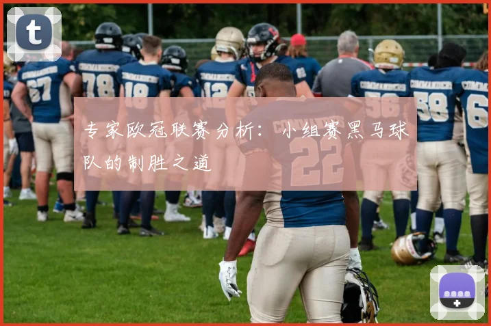 专家欧冠联赛分析：小组赛黑马球队的制胜之道