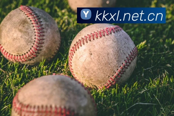 华体app登录入口APP 封面图